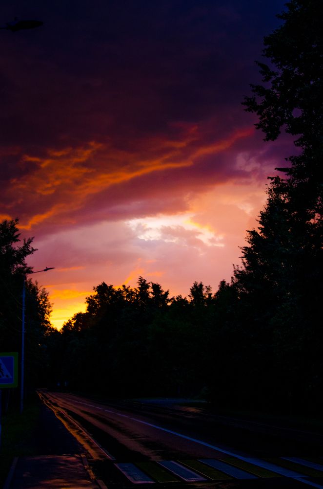 Photograph by Ольга Заповедная