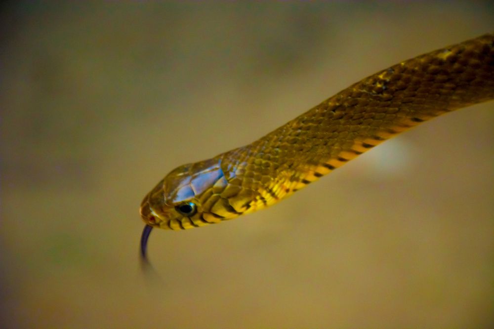 Photograph by shbabu islam