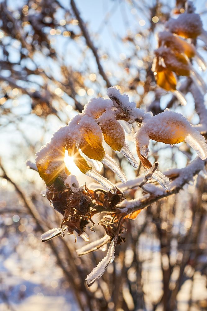 Photograph by Константин Федяев