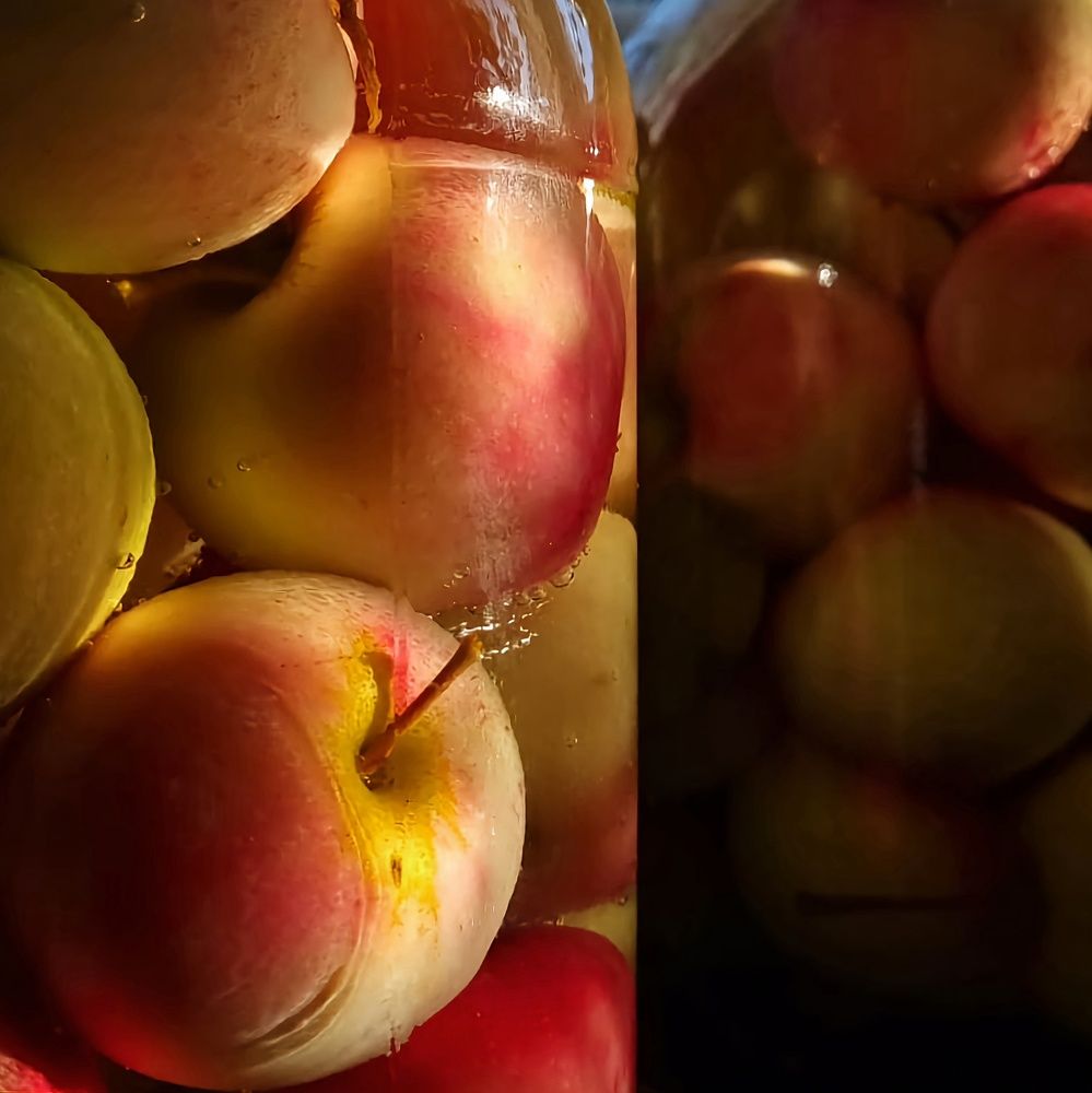 Photograph by Вячеслав Ригачин