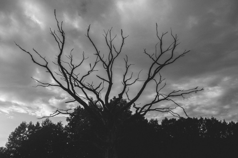Photograph by Максим