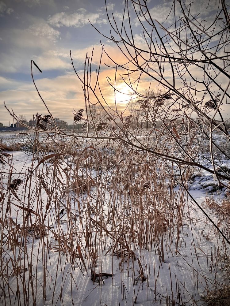 Photograph by Елена Ковалева