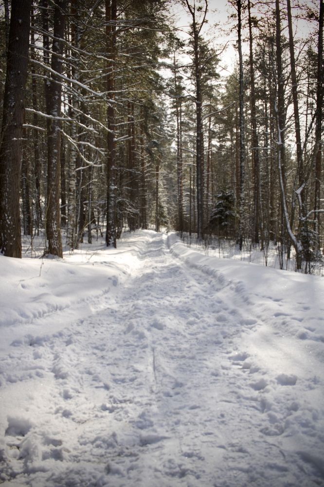 Photograph by Елена Ковалева