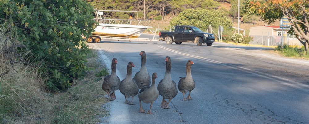 Фотография автора DIMITRIS MPAZIOTOPOULOS