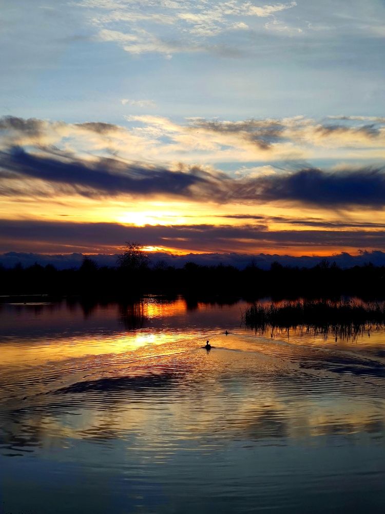 Photograph by Инна Макарчук