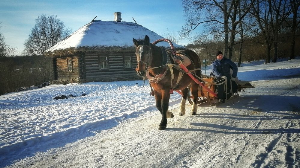 Photograph by Михаил Логвиненко