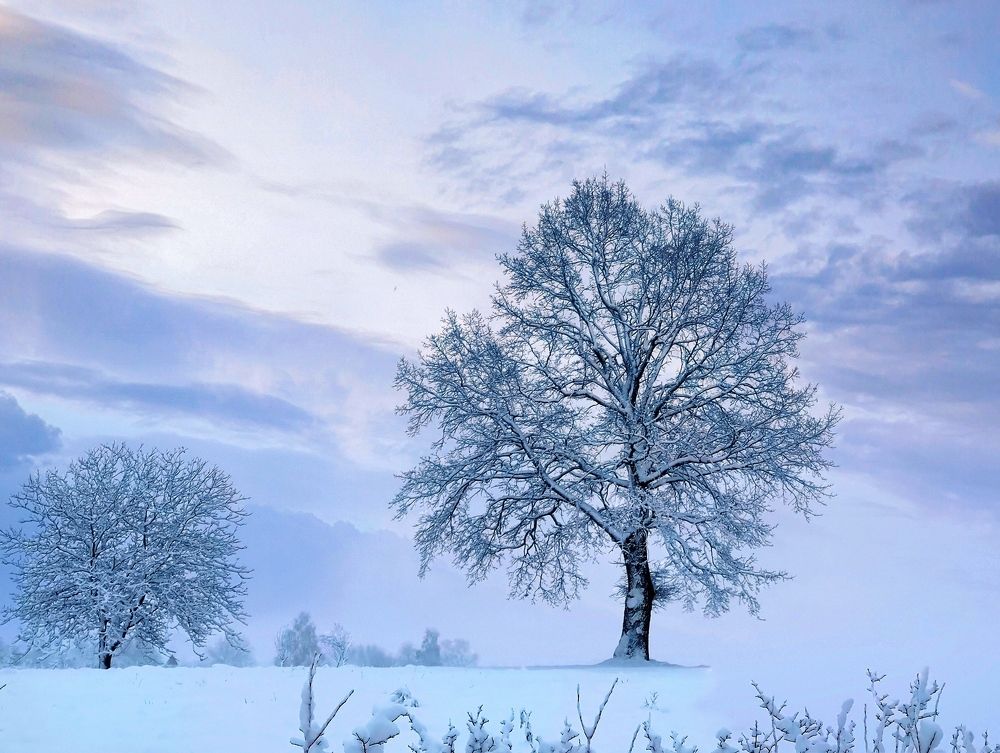 Photograph by Инна Макарчук