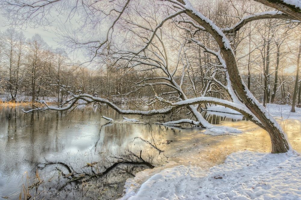 Photograph by Елена Пасажицкая