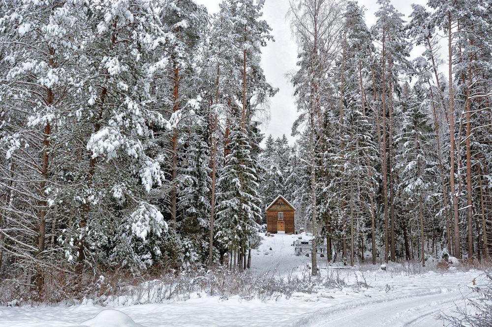 Фотография автора Виктор Журбенков