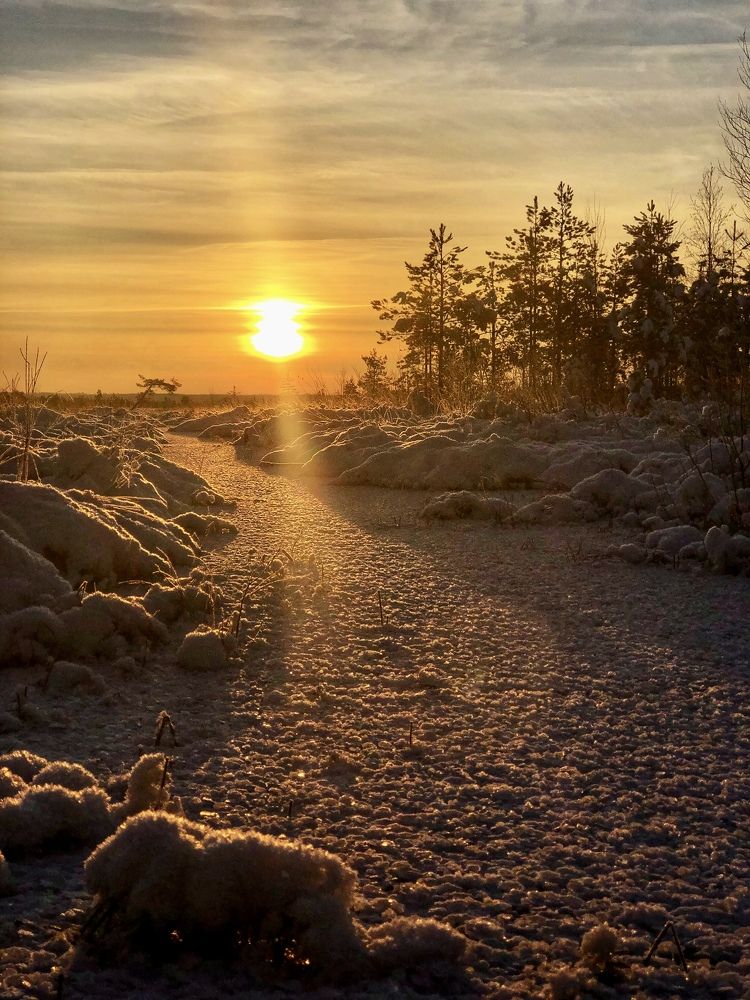 Photograph by Елена Шведова