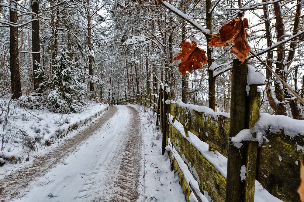 Фотография автора Виктор Журбенков