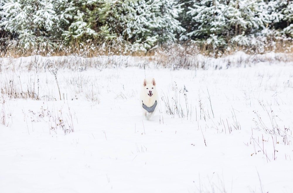 Photograph by GAĻINA GRIŠKOVA