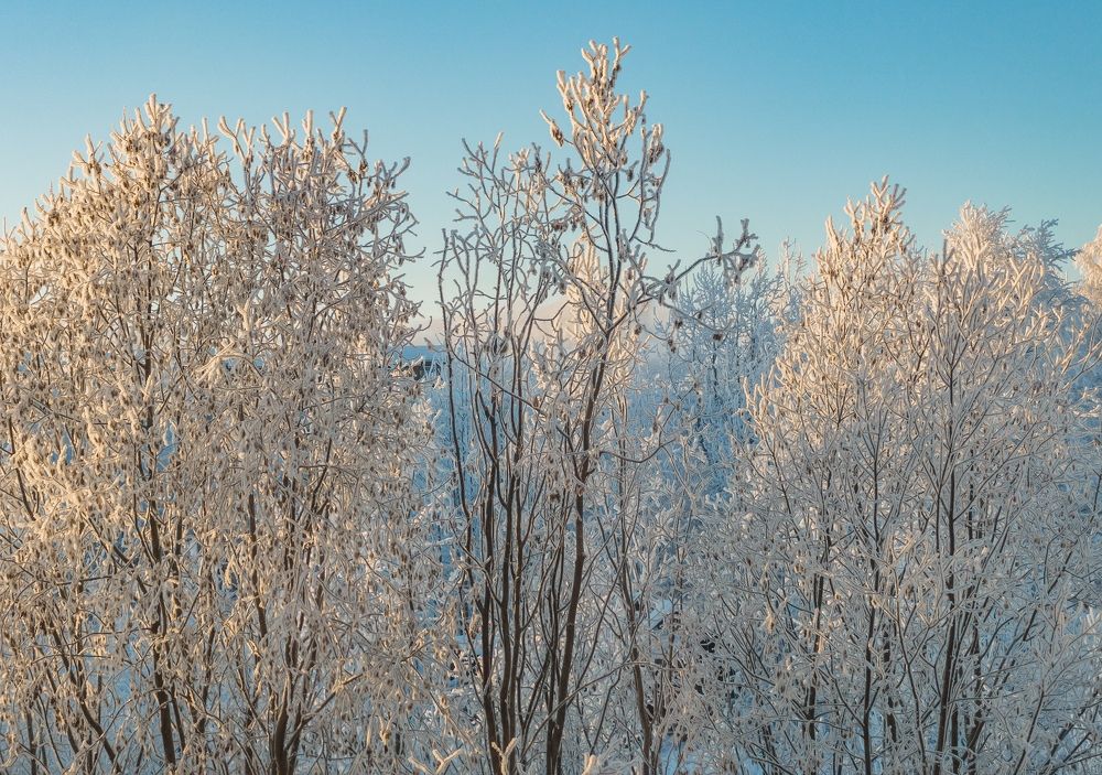 Photograph by Владислав Трушков