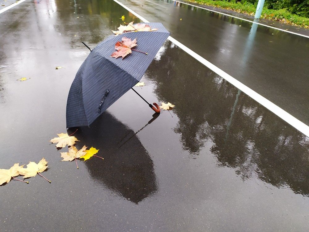 Photograph by Людмила Муравьева