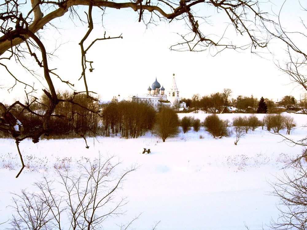 Photograph by Steve Yates