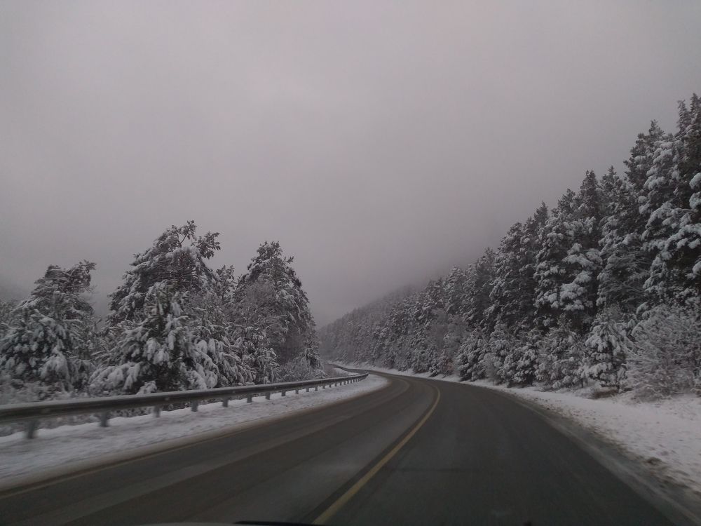 Photograph by СТЕПАН ДЖУЛАКИДЗЕ