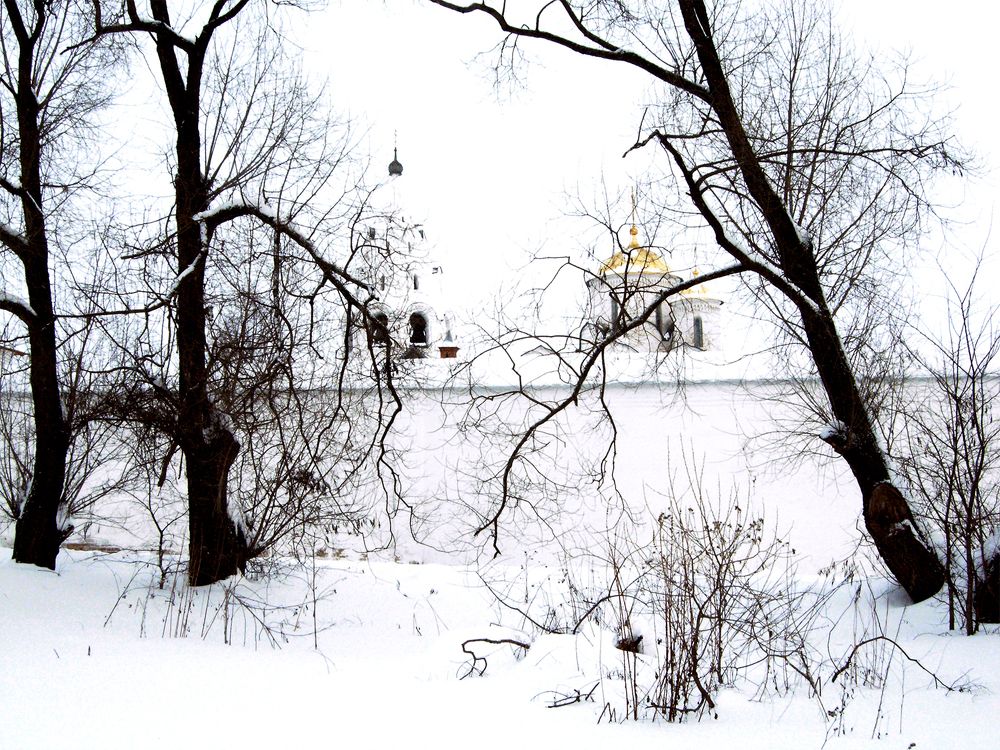 Photograph by Steve Yates