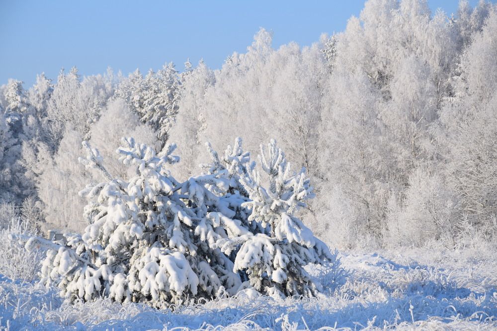 Photograph by Jolanta Zutiene