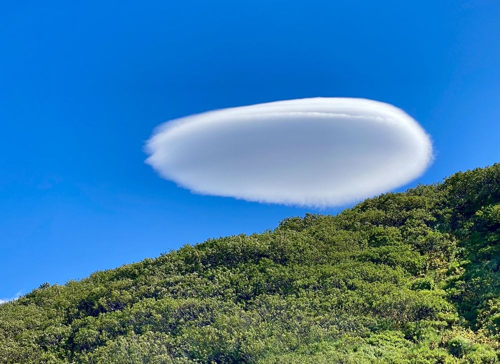 Photograph by Evgenia Barinova