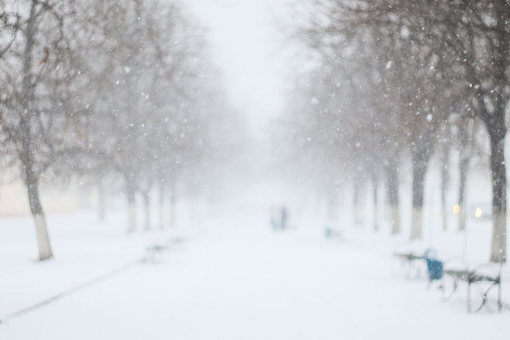 Photograph by Елена Квасова