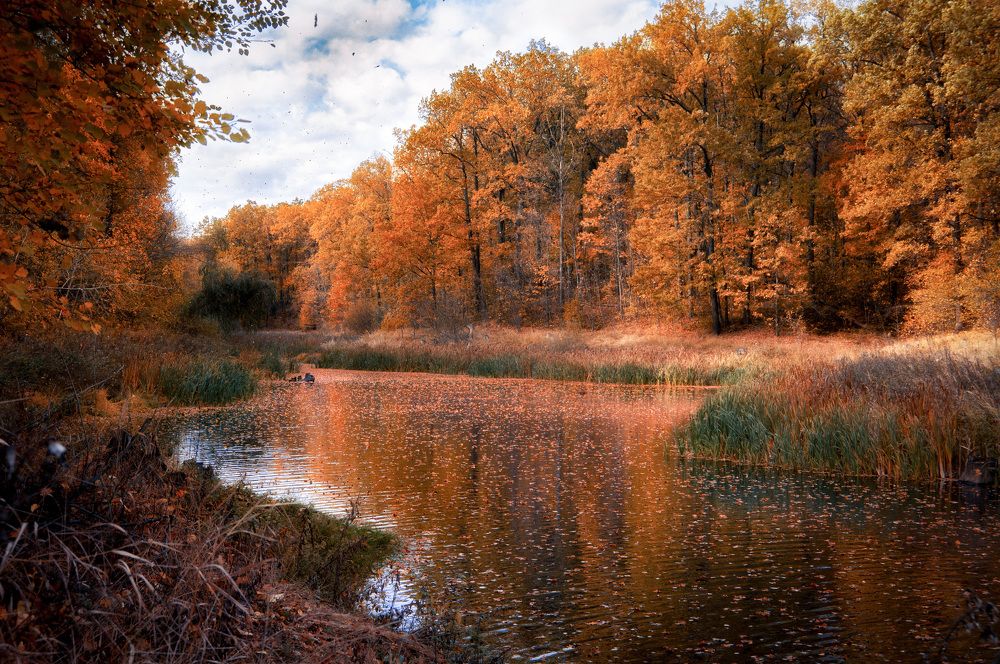 Photograph by Иван Мосьянов