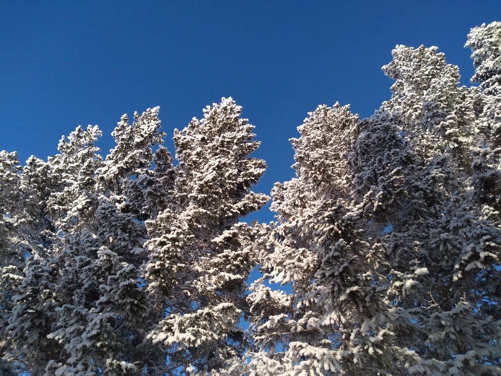 Photograph by СТЕПАН ДЖУЛАКИДЗЕ