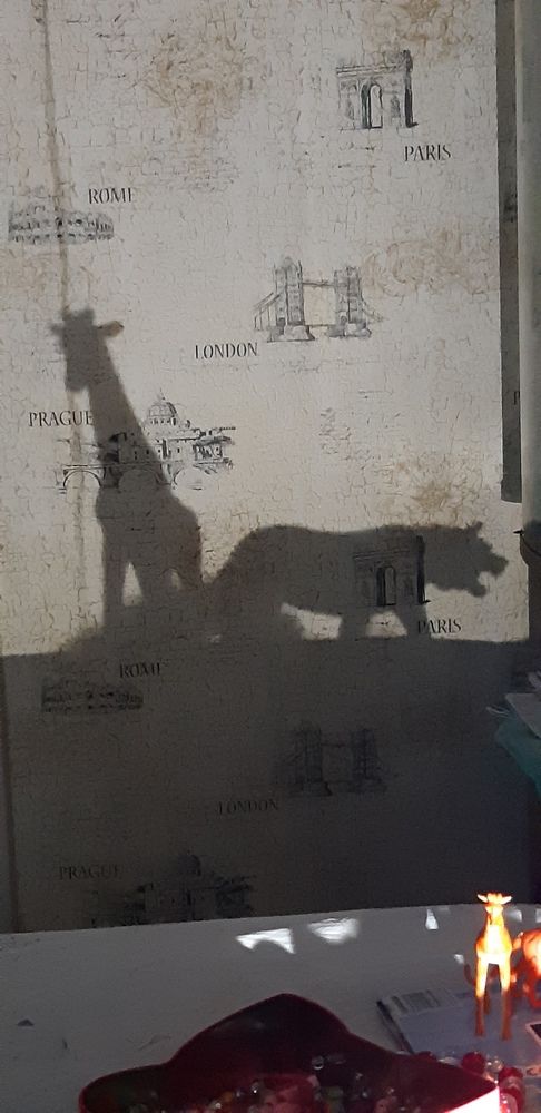 Photograph by Ирина Данилова