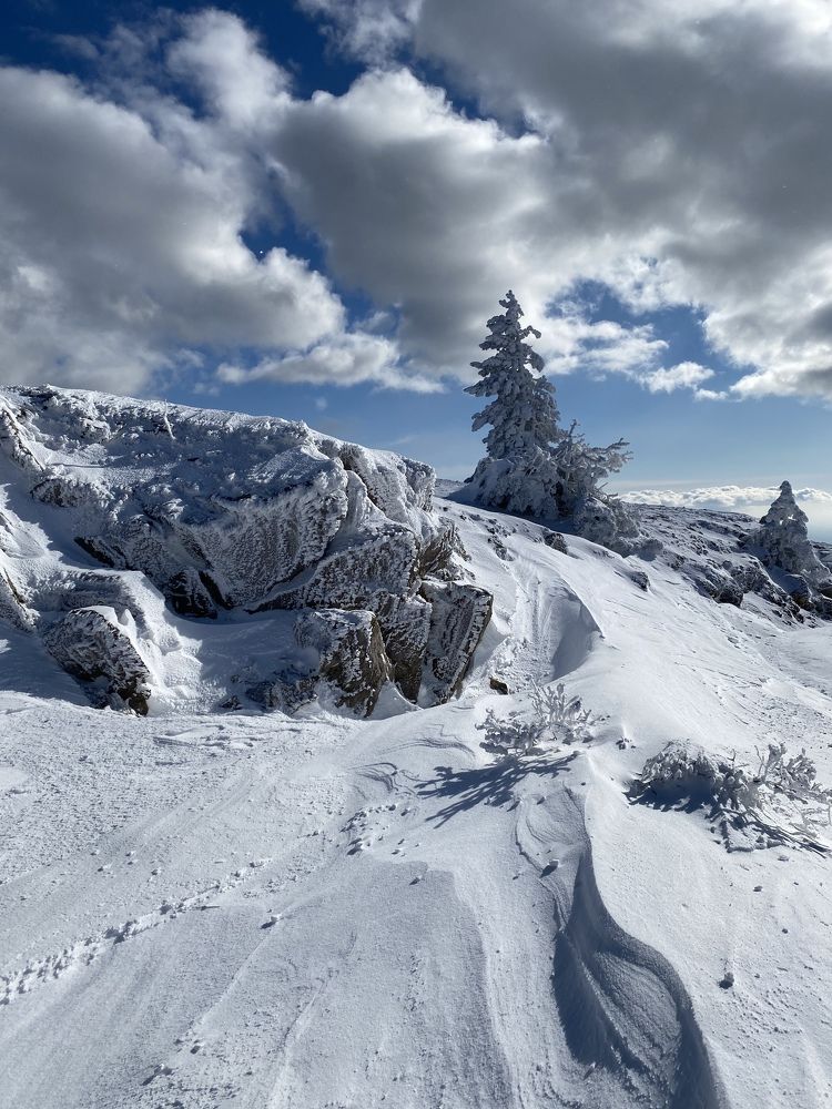 Photograph by Светлана Фесенко