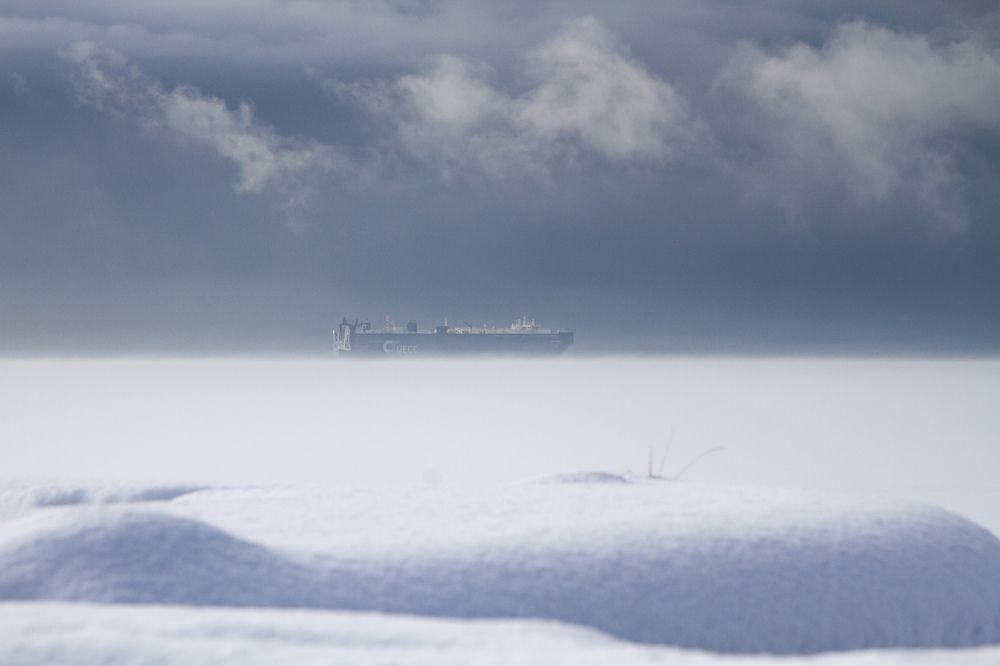 Фотография автора Ксения Зайцева