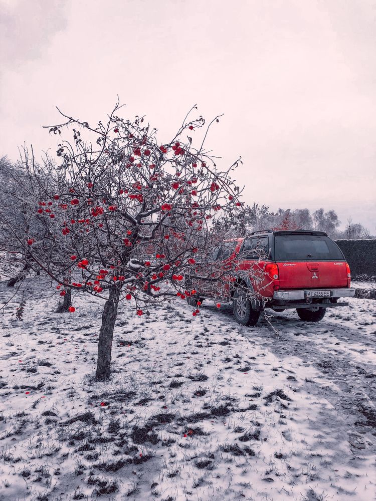 Photograph by Елена Твардовськая