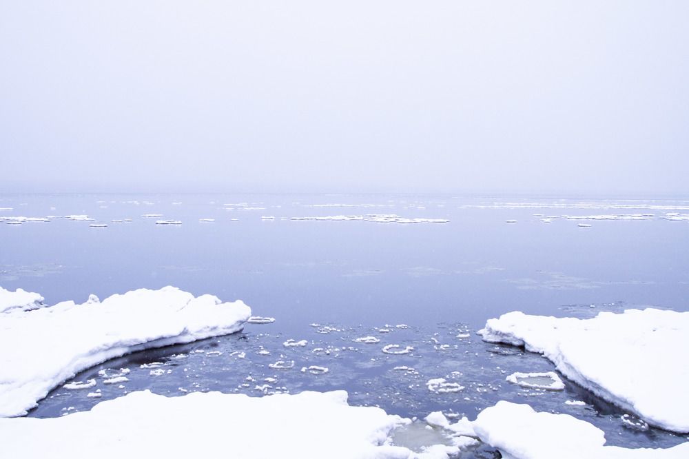 Фотография автора Ксения Зайцева