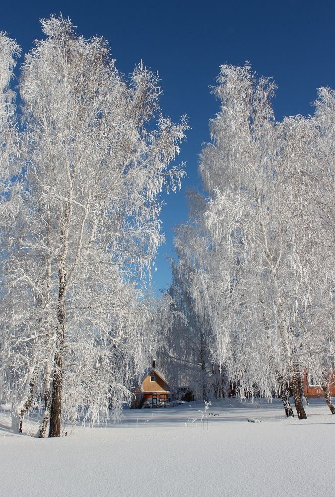 В царстве Берендея.