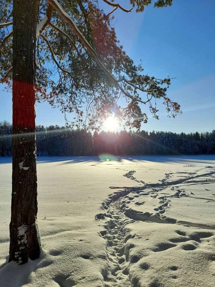 Photo #8483623