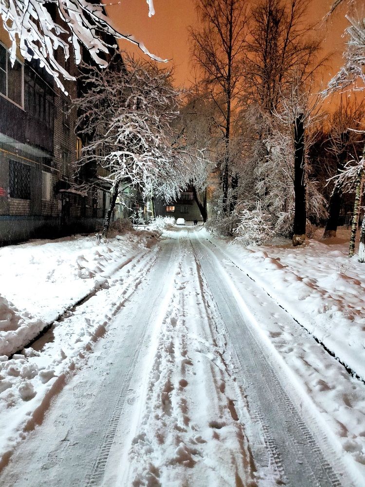 Фотография автора Светлана Смирнова