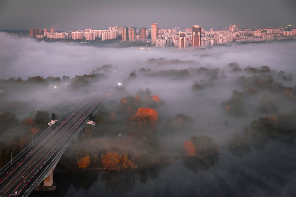 Фотография автора Алексей Звягинцев