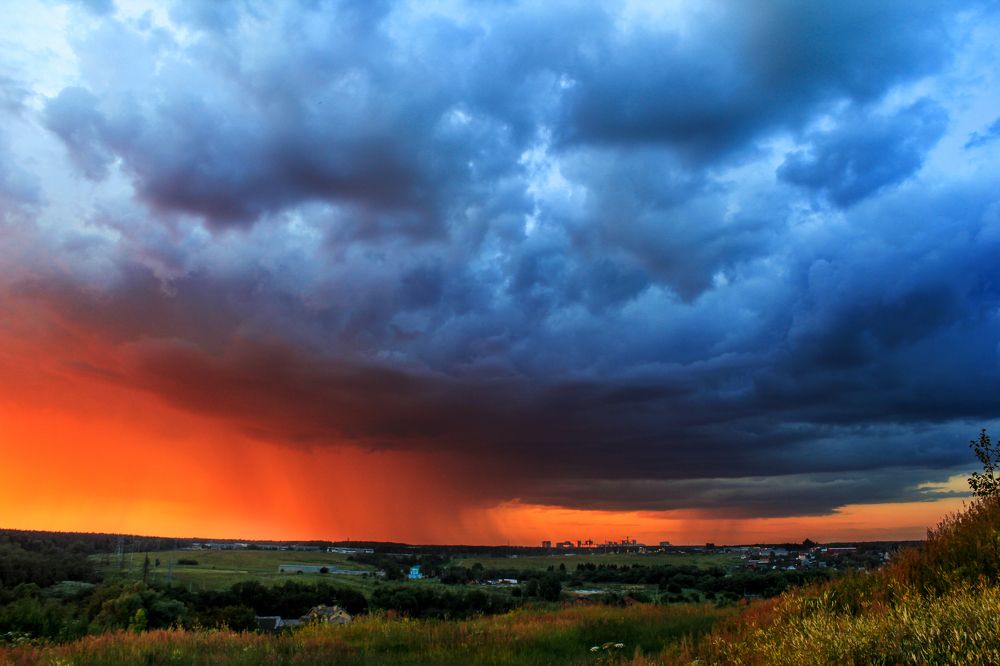 Photograph by Ольга Заповедная