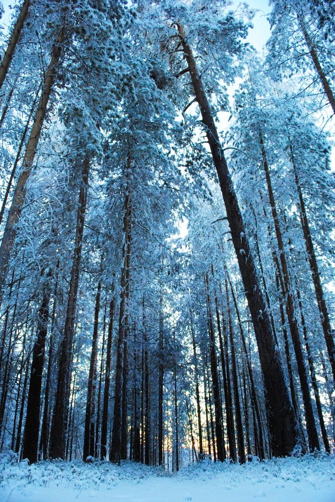 Photograph by Мария