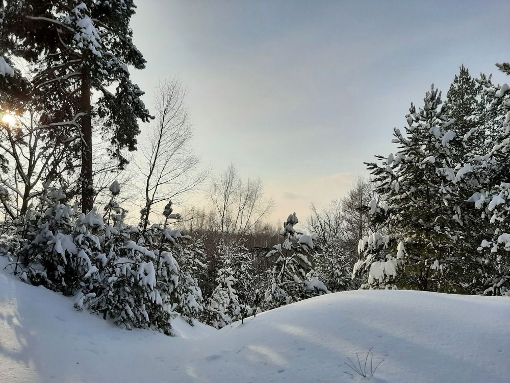 Photograph by Табачкова Татьяна