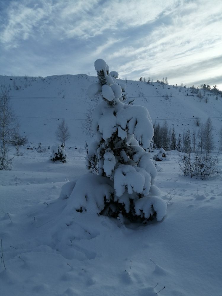 Photograph by Арина