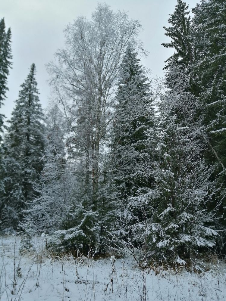 Photograph by Арина