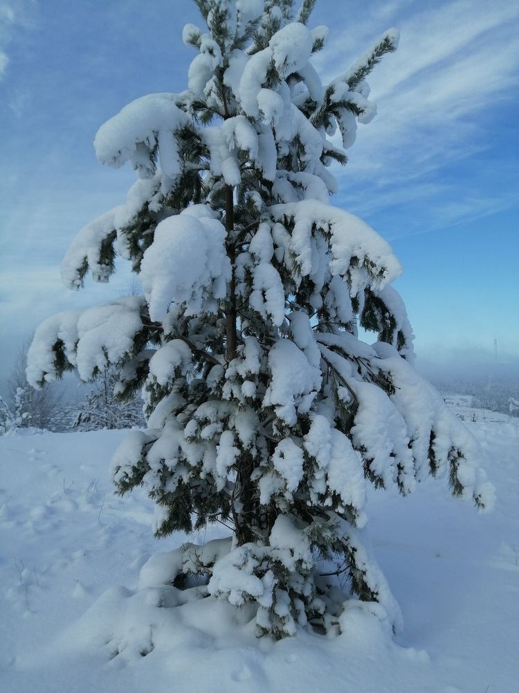 Photograph by Арина