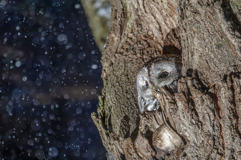 Пробуждение