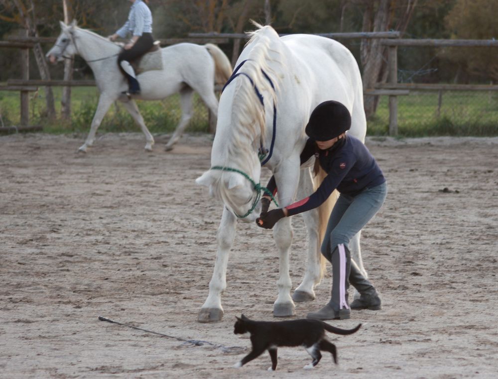 Photograph by Taтьяна Войлокова