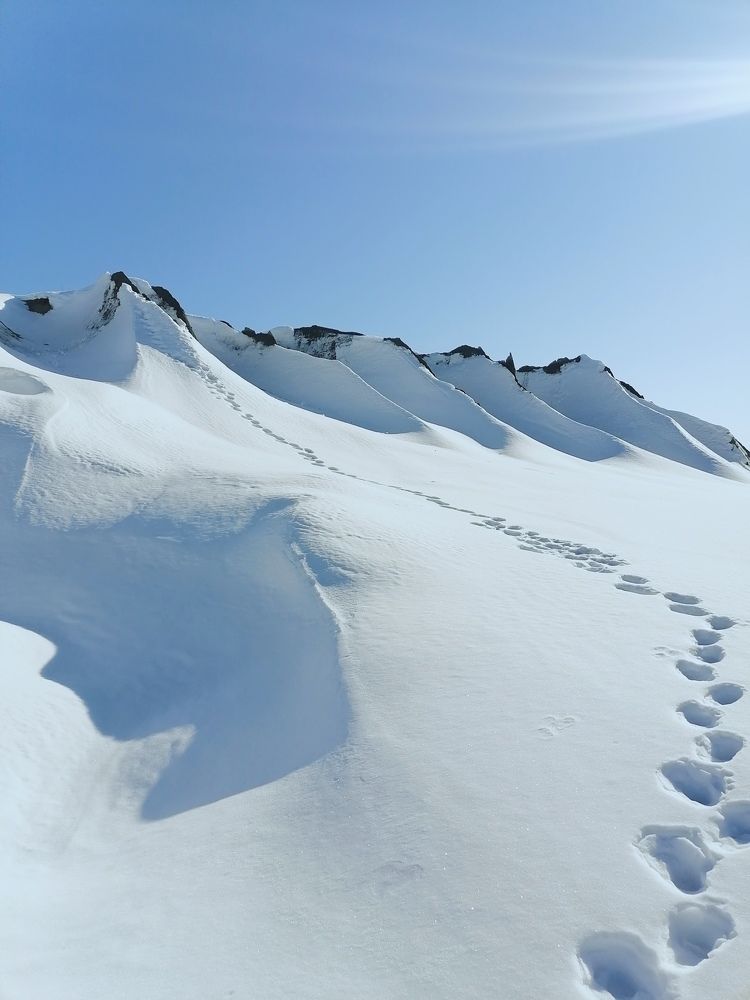 Photo #8483752