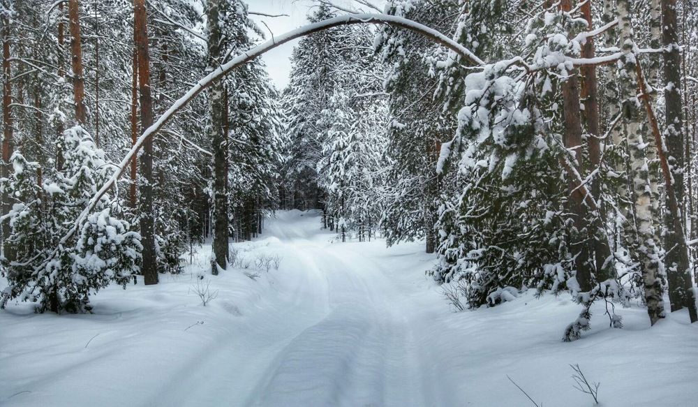 Photograph by Анастасия Самигуллина