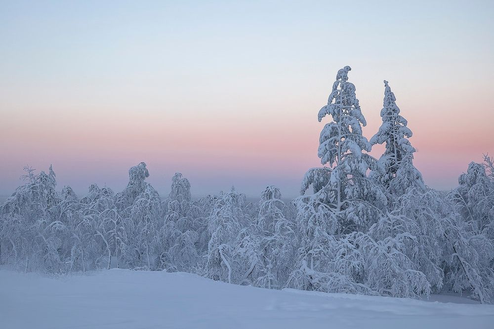 Photograph by Игнатьев Александр