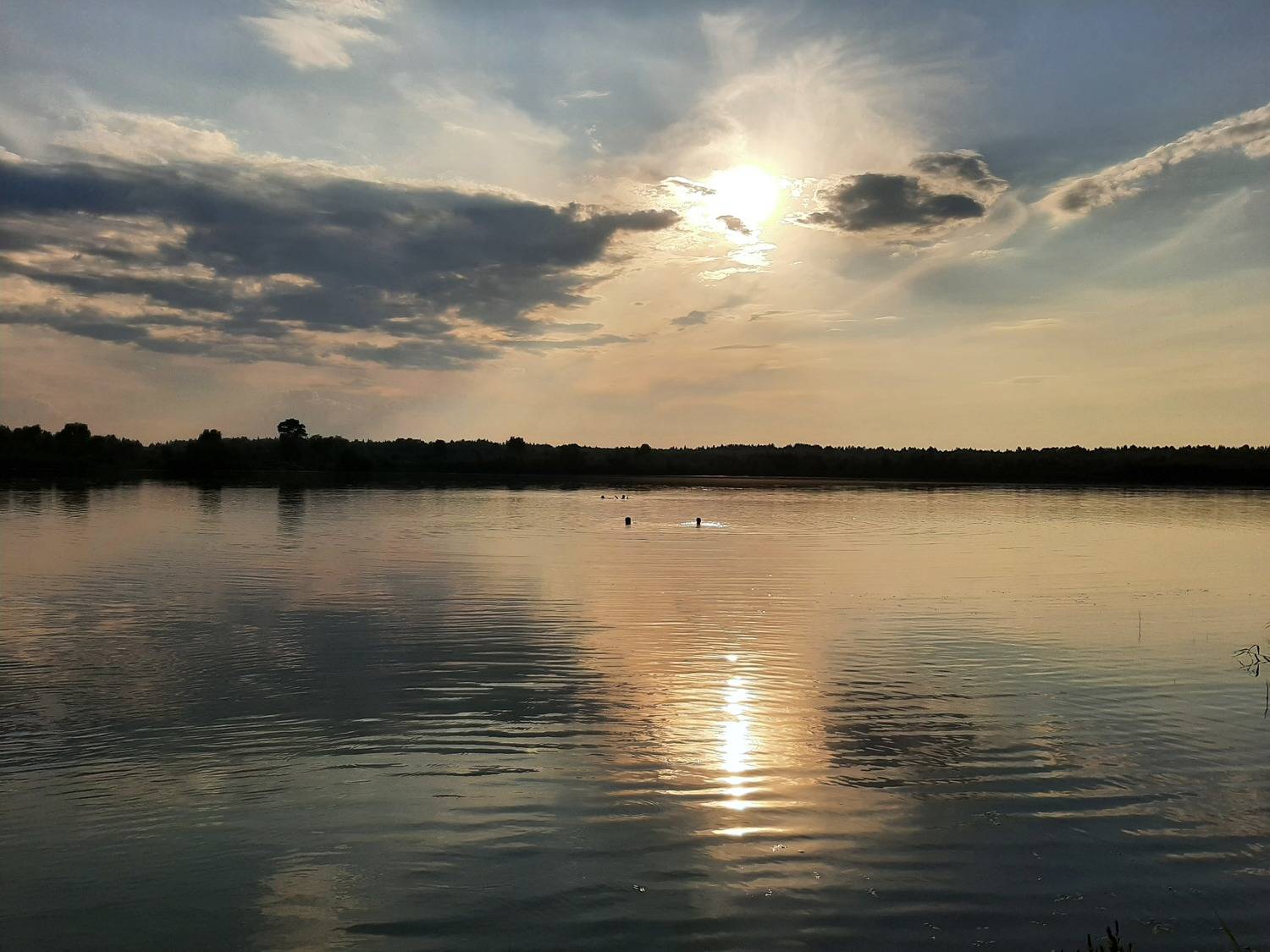 Photo #8483759