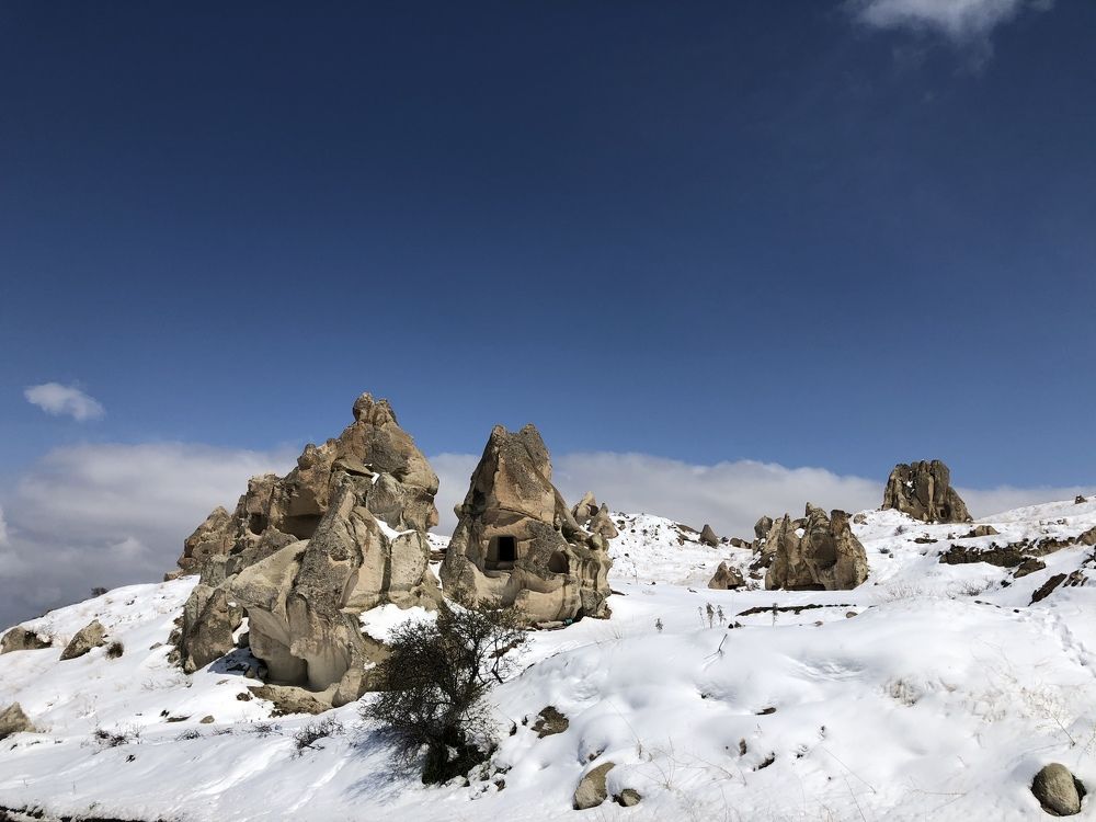 Photograph by Мария Бессмертная