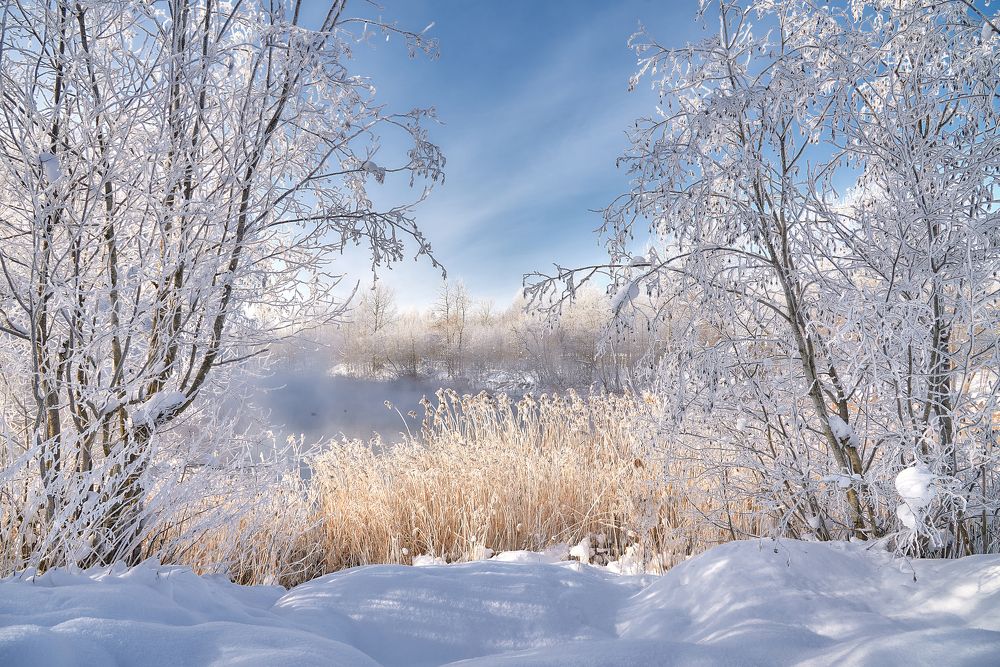 Photograph by Alla Matrosova