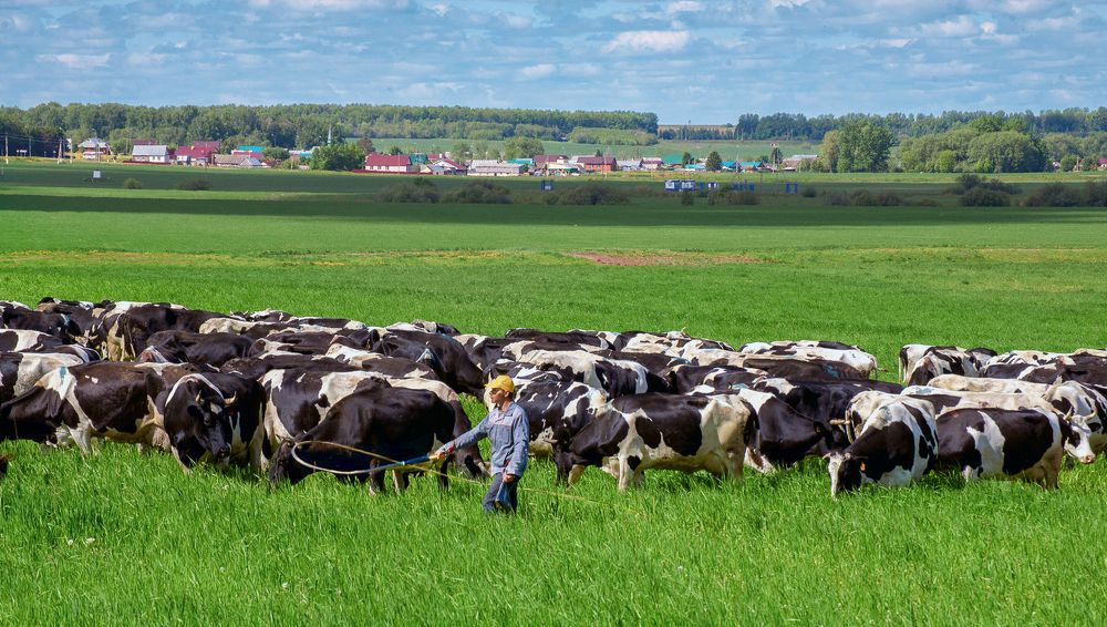 Photograph by Илья Чирков